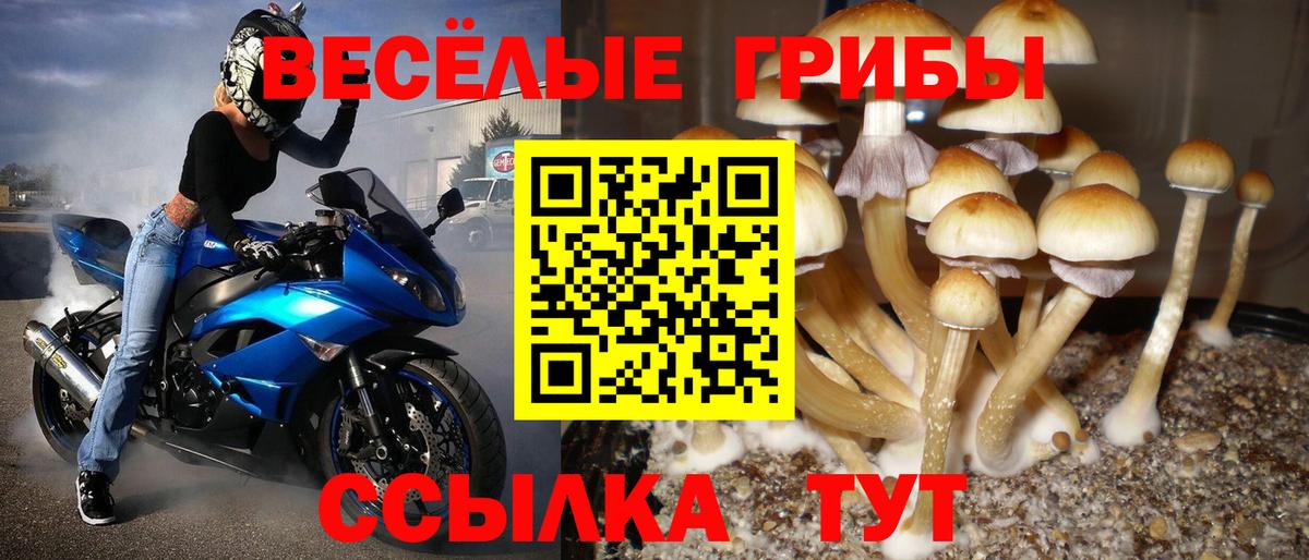 Уварово  Галлюциногенные грибы ЛСД  Вход с VPN 