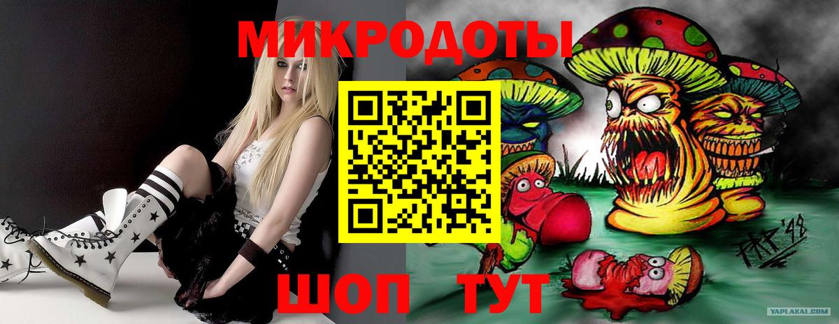 Псилоцибиновые грибы Psilocybine cubensis Уварово